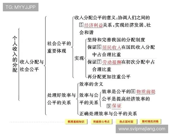 明珠国际的核心产品线及其在行业中的创新突破与市场表现